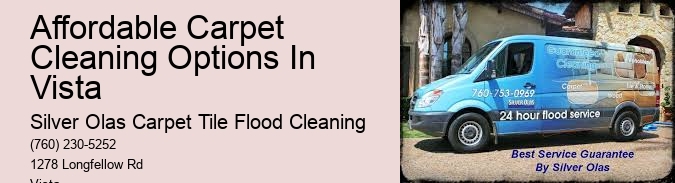 Affordable Carpet Cleaning Options In Vista