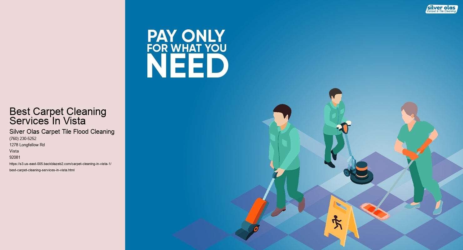 Best Carpet Cleaning Services In Vista