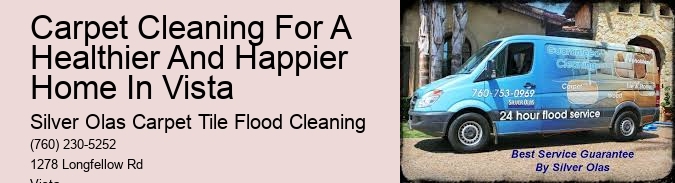 Carpet Cleaning For A Healthier And Happier Home In Vista