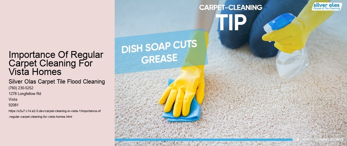 Importance Of Regular Carpet Cleaning For Vista Homes