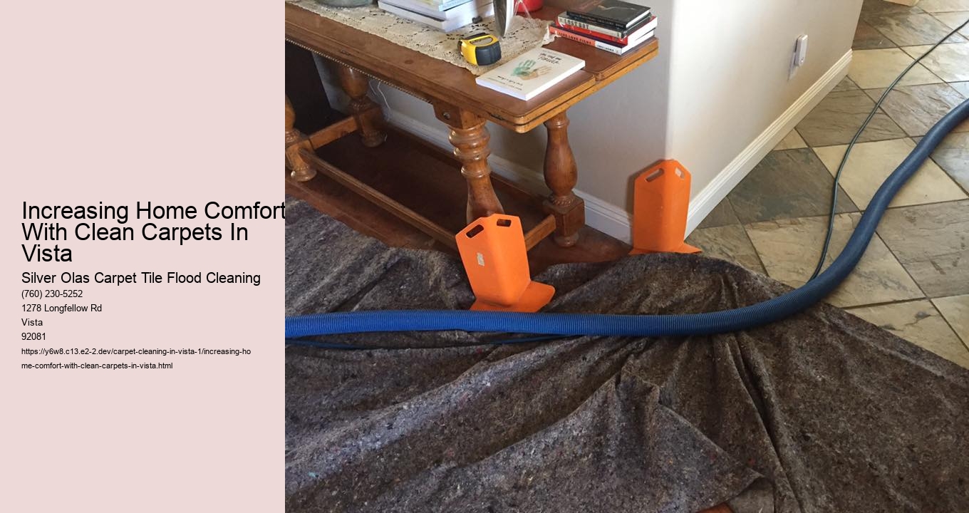 Increasing Home Comfort With Clean Carpets In Vista