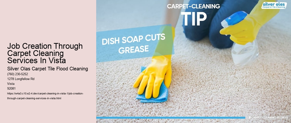 Job Creation Through Carpet Cleaning Services In Vista