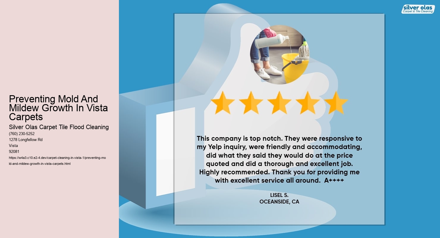 Preventing Mold And Mildew Growth In Vista Carpets