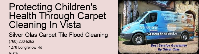 Protecting Children's Health Through Carpet Cleaning In Vista