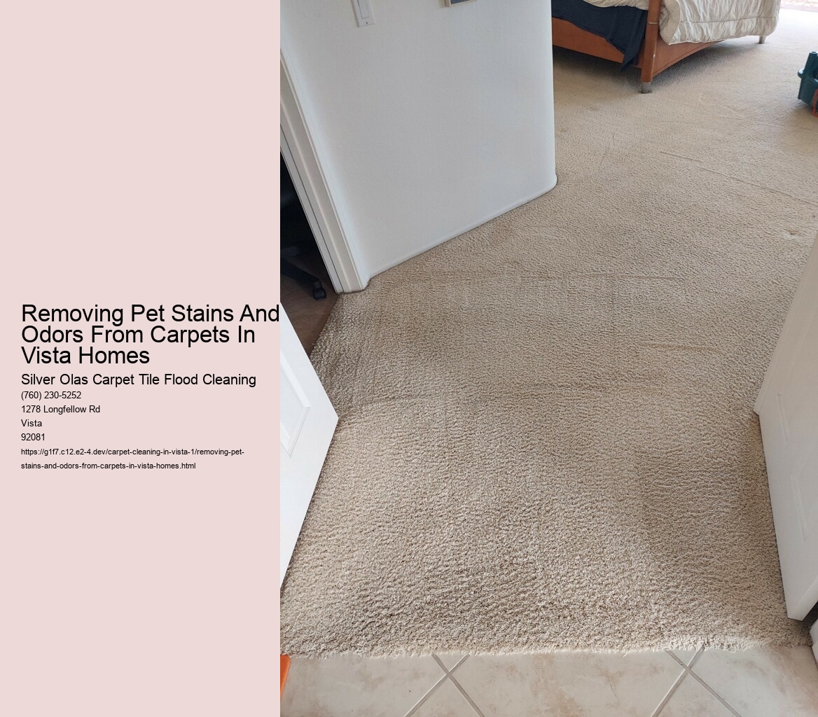 Removing Pet Stains And Odors From Carpets In Vista Homes