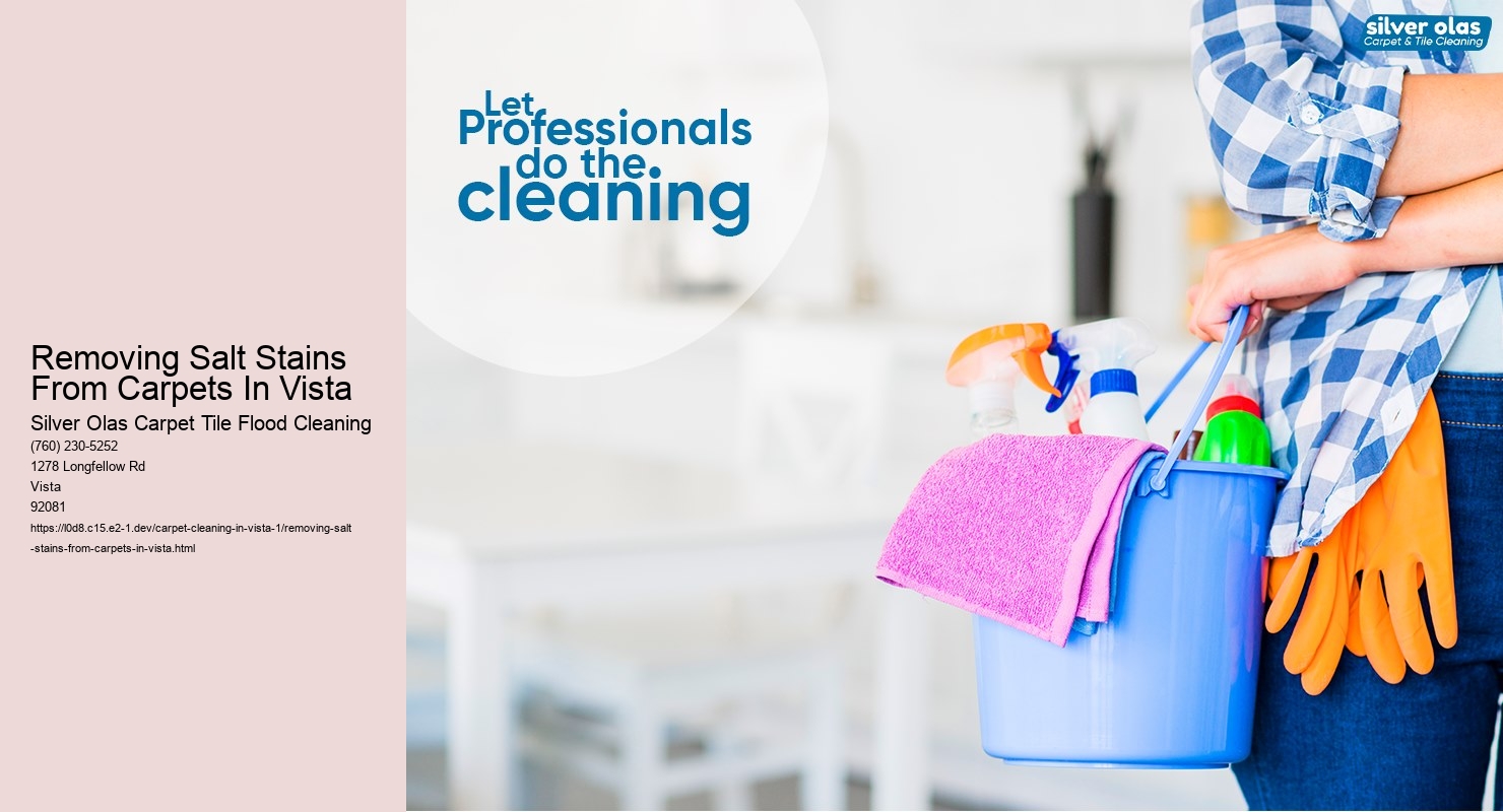 Removing Salt Stains From Carpets In Vista