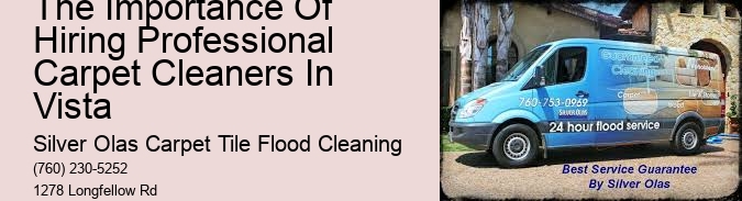 The Importance Of Hiring Professional Carpet Cleaners In Vista