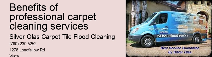 Benefits of professional carpet cleaning services