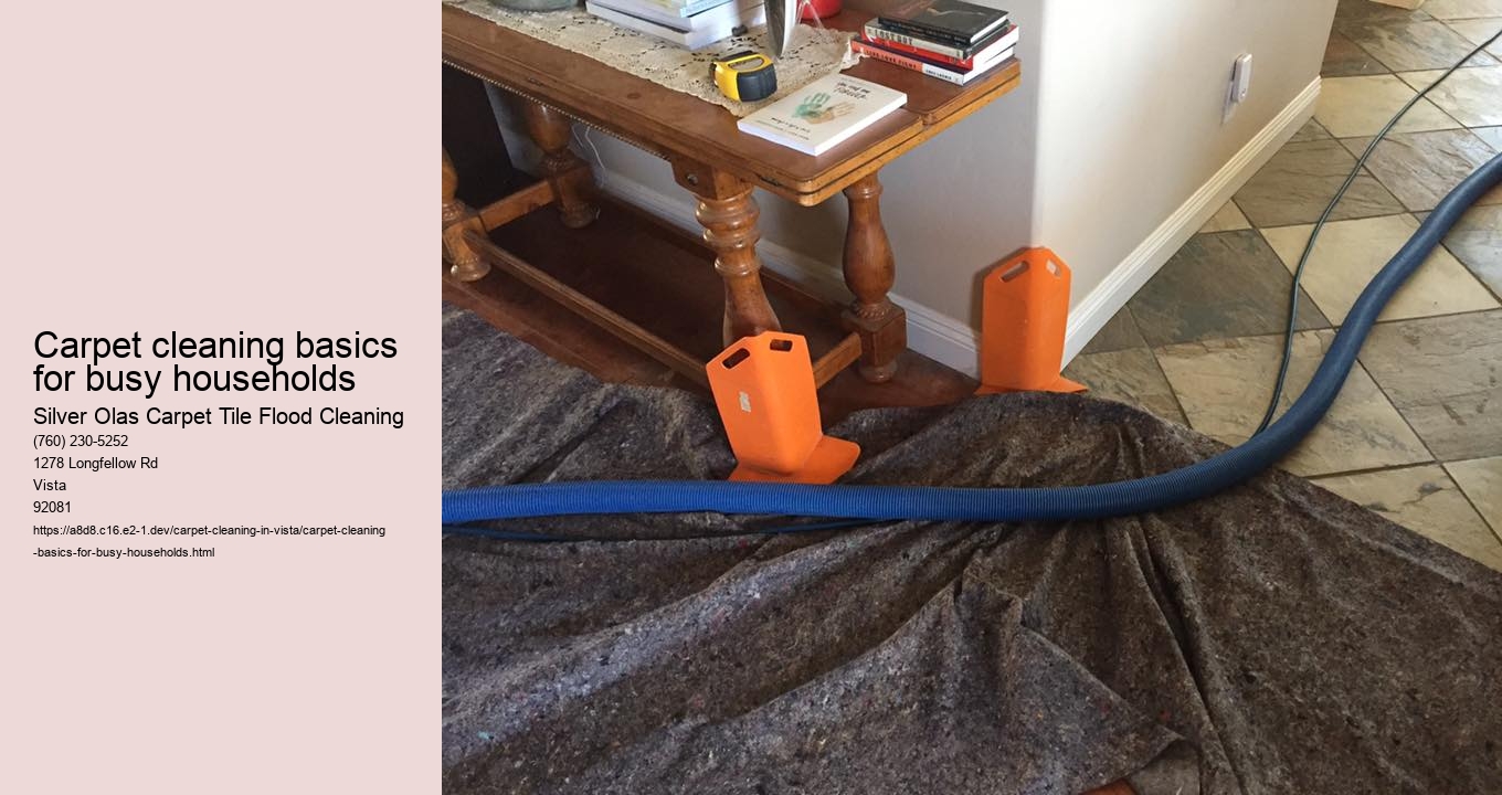 Carpet cleaning basics for busy households