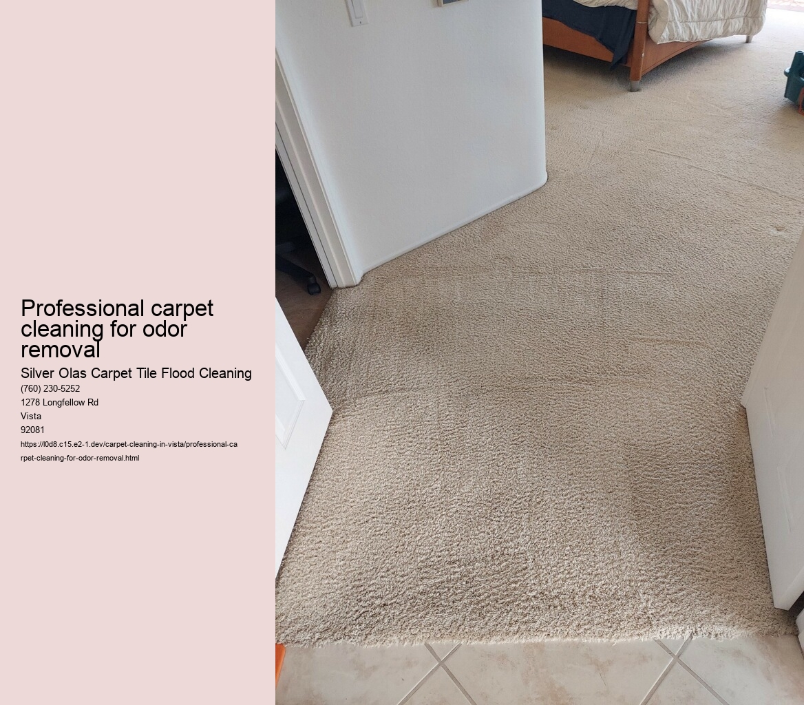 Professional carpet cleaning for odor removal