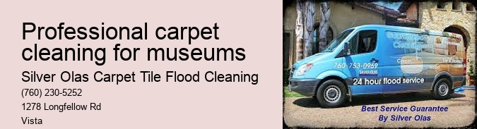 Professional carpet cleaning for museums