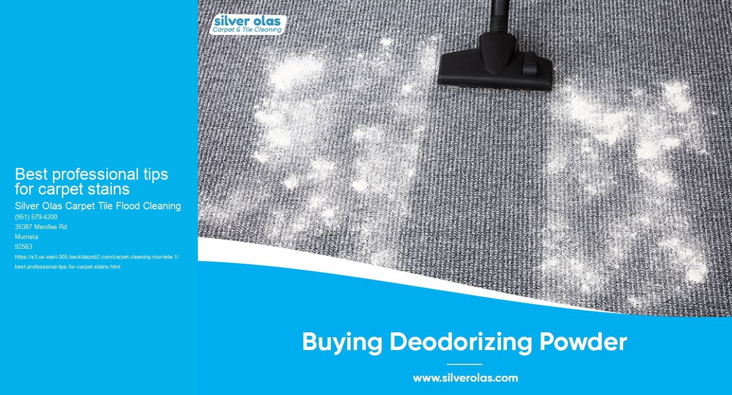 Best professional tips for carpet stains