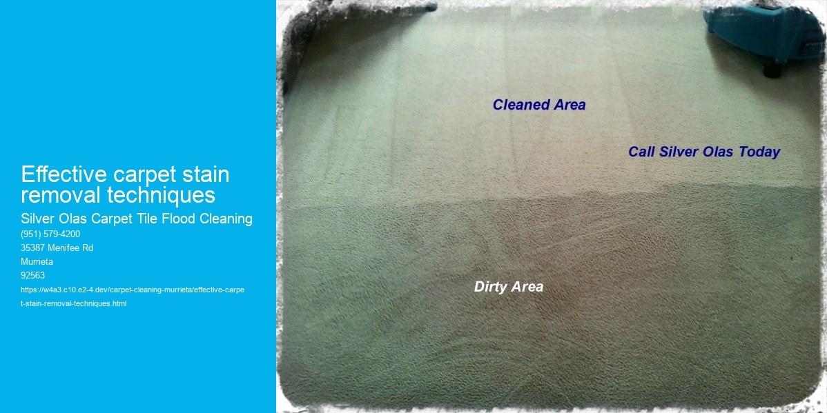Effective carpet stain removal techniques Silver Olas Carpet Tile Flood Cleaning Effective carpet stain removal techniques
