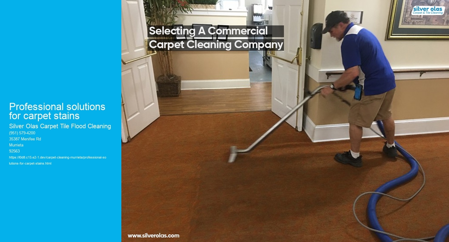 Professional solutions for carpet stains