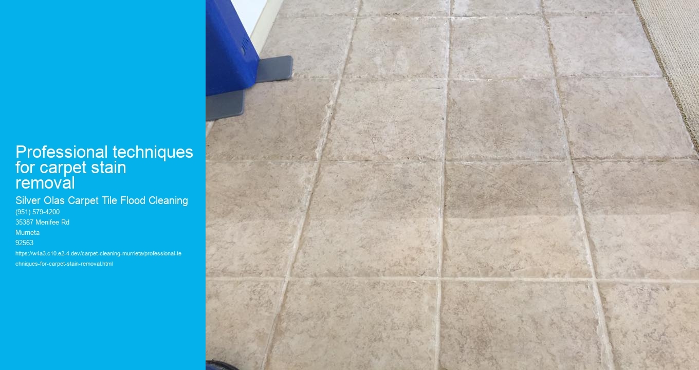 Professional techniques for carpet stain removal